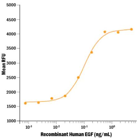 Recombinant Human EGF stimulates cell proliferation of the Balb/3T3 mouse embryonic fibroblast cell line.The ED50 for this effect is 20-100 pg/mL.